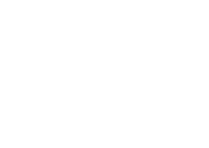 Lightshot Production Logo